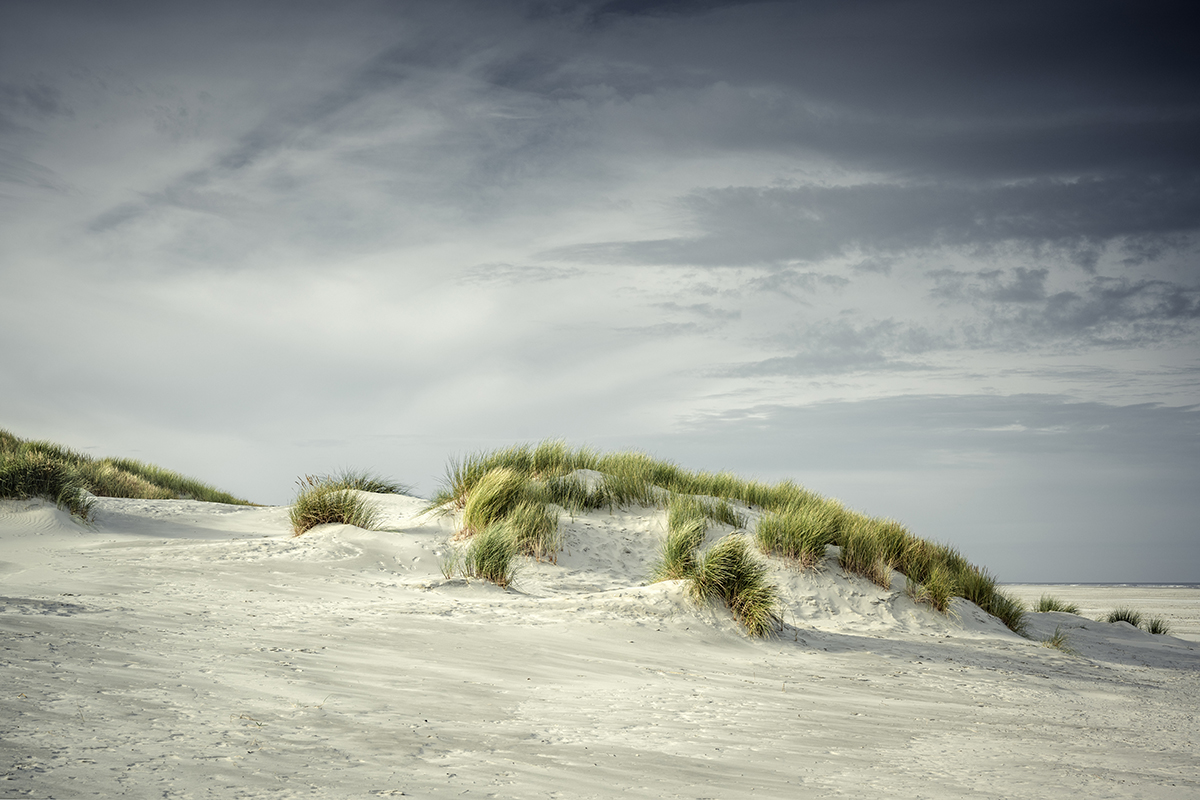 ae-photos_landschaftsfotografie_juist_sandduenen_1200x800