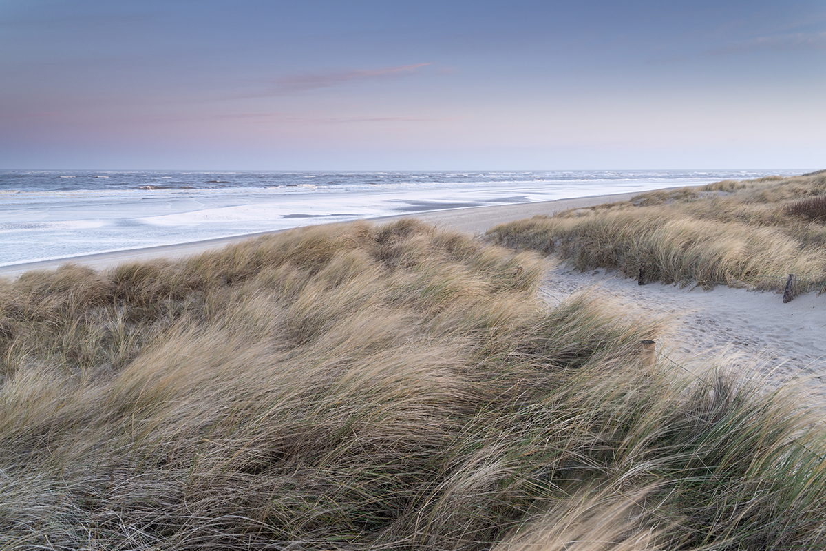 ae-photos_landschaftsfotografie_langeoog_duenen_winter_1200x800